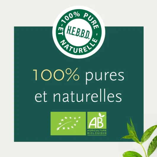 61 wWmtELWL._AC_SL1500_