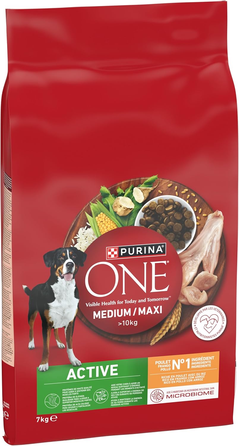 Active - Chien Adulte de moyenne et grande taille > 10Kg - Croquettes riches en protéines - Aide à maintenir des muscles forts et un niveau suffisant d'énergie - au Poulet - Sac - 7 kg Poulet 7 kg (Lot de 1)