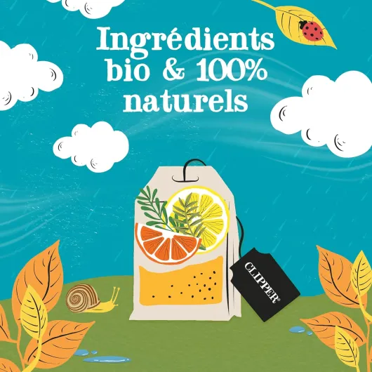 81qOvr9y74L._AC_SL1500_