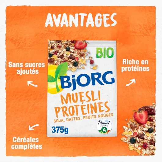 91w1O6bww3L._AC_SL1500_