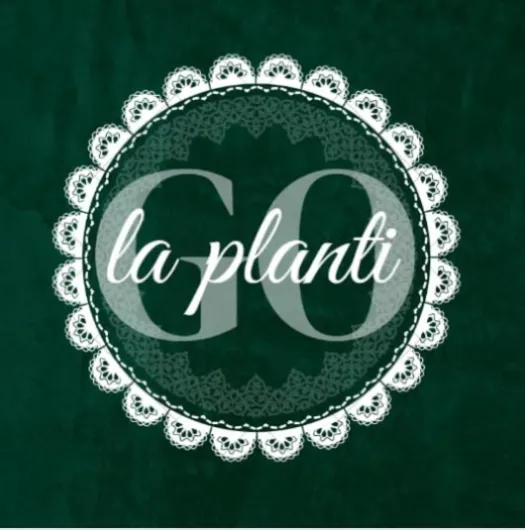 51LSl8REpoL._AC_