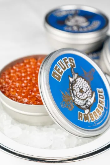 81RinBu5Z5L._AC_SL1500_