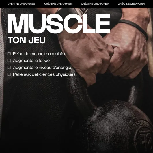 81 A8WlnZQL._AC_SL1500_