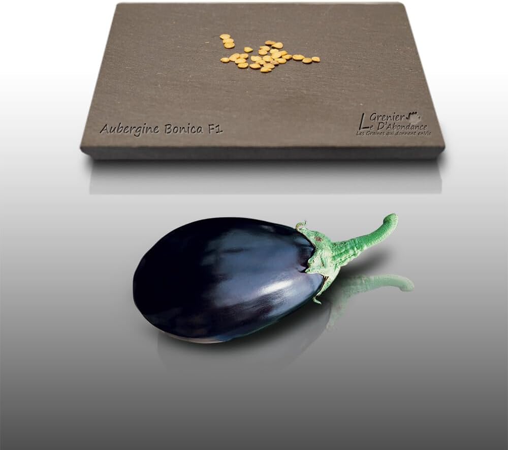 25 graines à semer - Le Grenier d'Abondance - AUBERGINE Noire Brillant Bonica - Spécialité Hybride F1