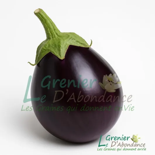 51HrWF6gvGL._AC_SL1080_