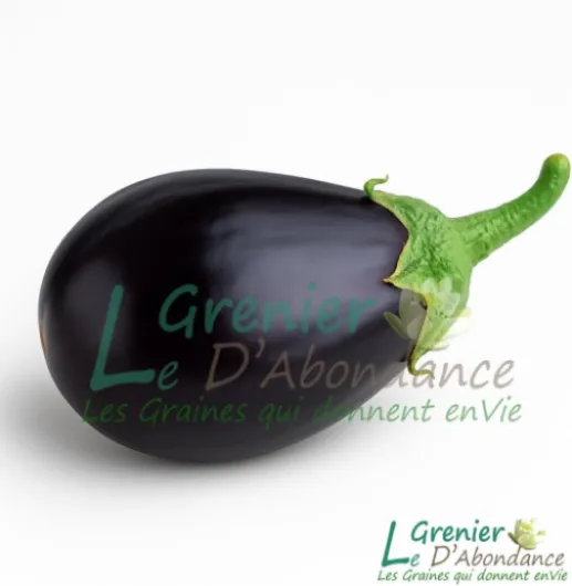 51NXwT2ct6L._AC_SL1080_