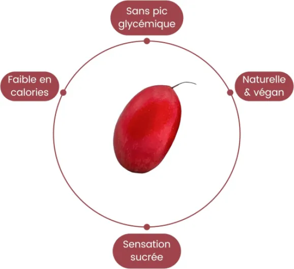 61gVHILpZEL._AC_SL1500_