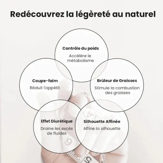 51N6ZoMH-VL._AC_SL1000_