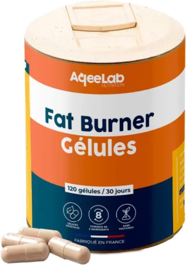 Bruleur de graisse • Carnitine CARNIPURE® - Thé vert - Guarana • 1 mois • Déstockage des graisses - Boost du métabolisme - Énergie • Testé en laboratoire • Made in FR • Aqeelab Fat Burner