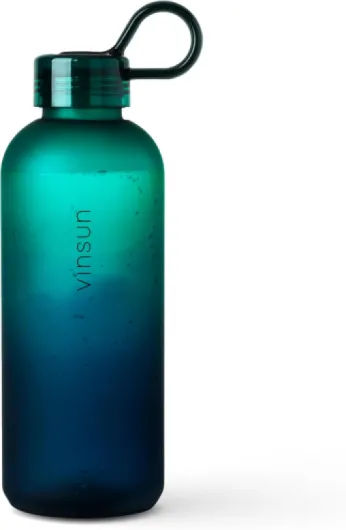 Gourde Sport 650ml Bleu Vert - Réutilisable, Sans BPA, Tritan, Étanche - Bouteille d'Eau légère pour Sport, Excursion, École, Bureau Bleu Vert 650 ml