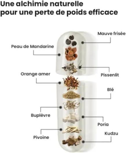 51pOW-sn5NL._AC_SL1000_