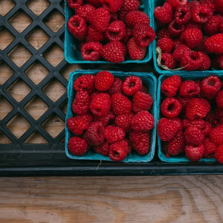 Pizza maison ou pizza surgelée : le match nutrition, coût et santé qui va vous surprendre