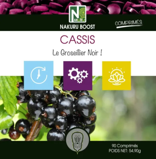 81qv1S9IK6L._AC_SL1500_