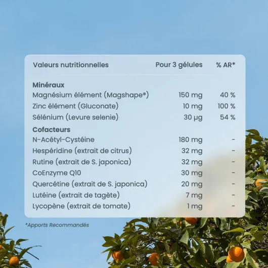 61i1OP 9KVL._AC_SL1080_