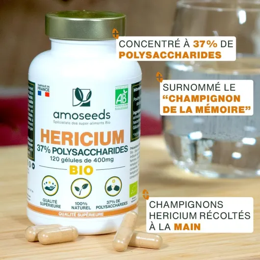 61dHd9buz8L._AC_SL1000_