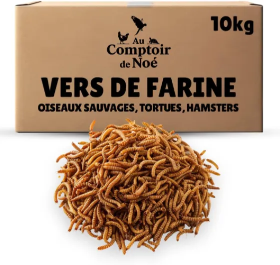 Vers de Farine séchés 10kg Au Comptoir de Noé, 100% Naturel, Riches en Protéines et Bonnes Graisses, Alimentation pour Poissons, Oiseaux Sauvages, Tortues, Hérissons, Rongeurs et Reptiles