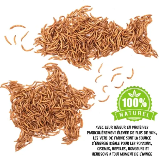 71Vp NHe0kL._AC_SL1280_