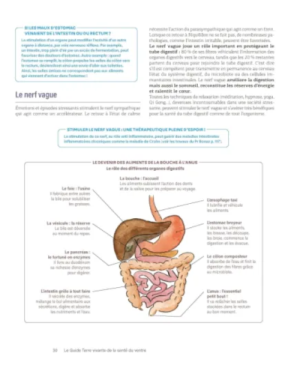 81RsDFvCxDL._SL1500_