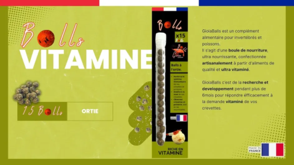 71s6xNxKcZL._AC_SL1500_