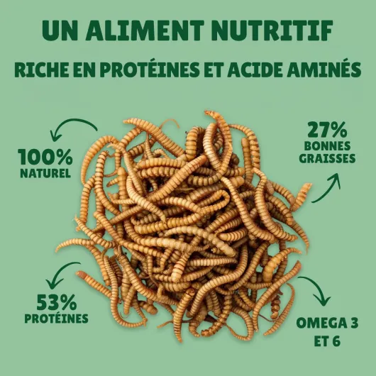 71RltqmXC0L._AC_SL1500_