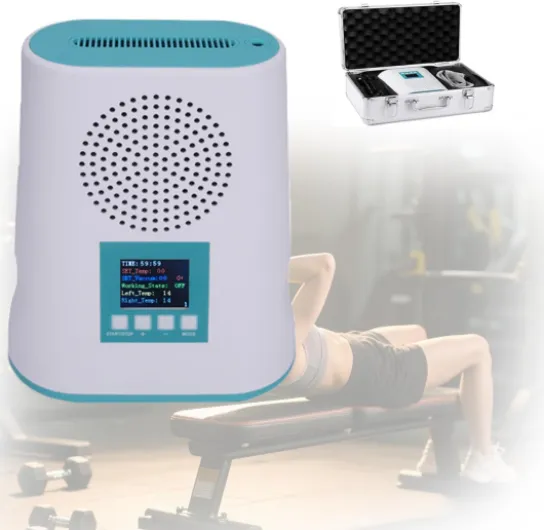 Cryolipolyse Machine Professionnelle,Cryolipolyse Machine Maison,Portable Appareil Cryolipolyse Minceur,Congélation Des Graisses Minceur Pour Bras Taille Cuisse Hanche