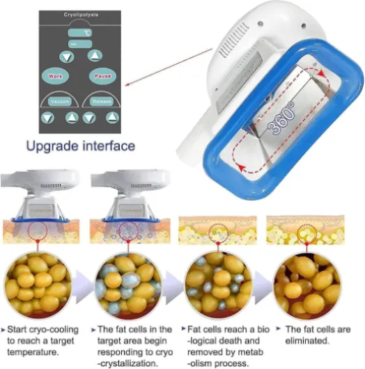 71nI05hQrHL._AC_SL1500_