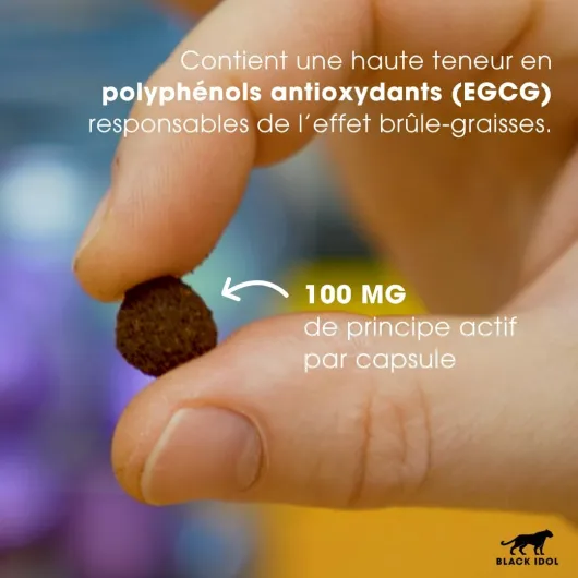 61lw1j6U4eL._AC_SL1080_