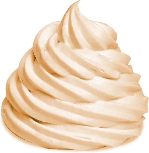 Nature goût yaourt glacés 1 kg Gino Gelati poudre yaourt surgelé