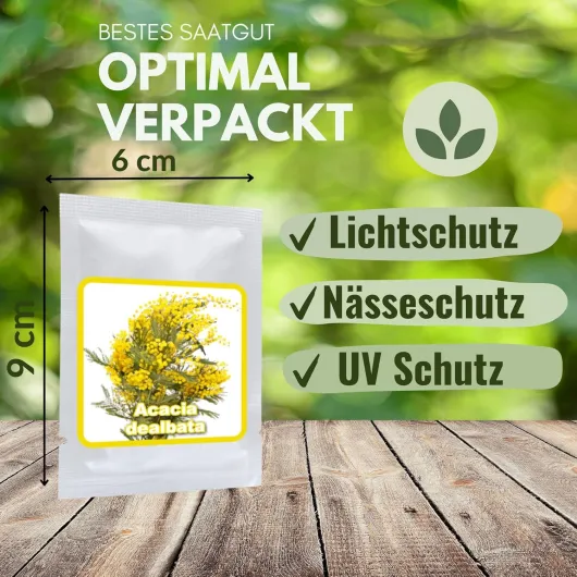 81ec9hyqSBL._AC_SL1500_