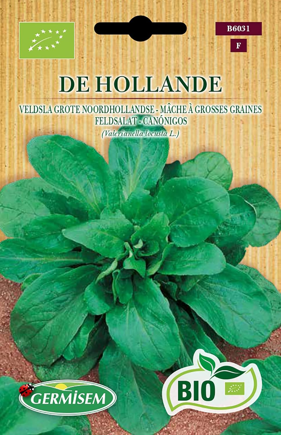 Germisem Bio Graines Mâche à grosses graines DE HOLLANDE