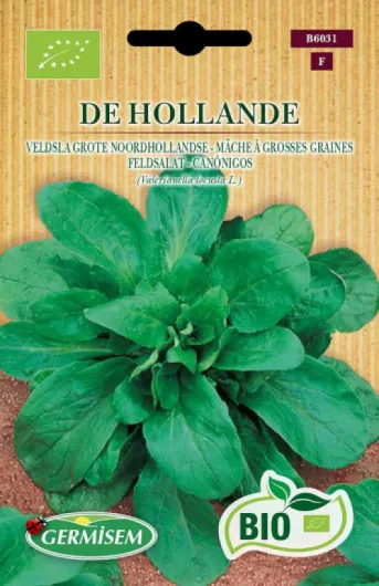 Germisem Bio Graines Mâche à grosses graines DE HOLLANDE