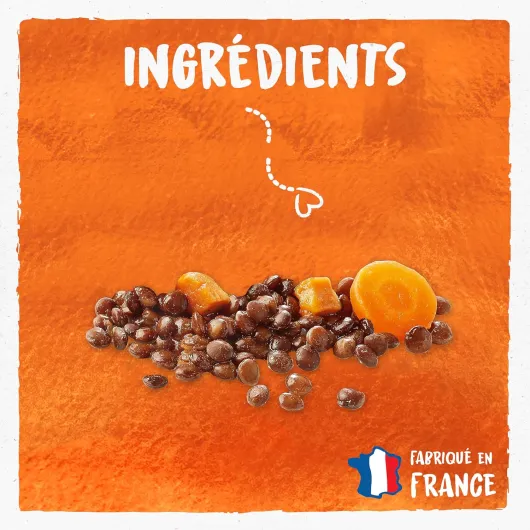 91oOv8Q8w7L._AC_SL1500_