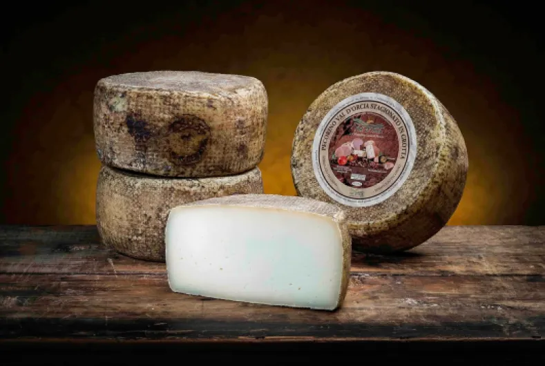 81IhqngPISL._AC_SL1500_