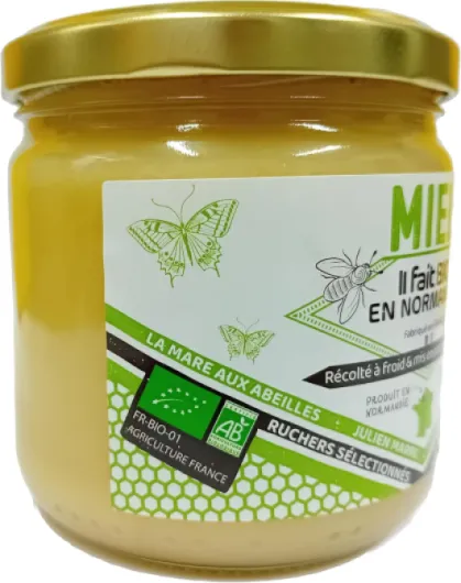 81RJr7NYKqL._AC_SL1500_