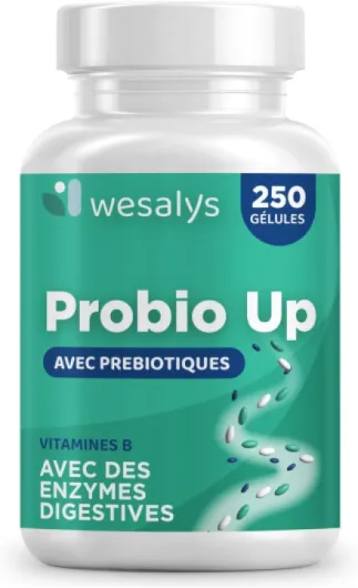 Probiotique flore intestinale - 250 gélules - 20 souches bactériennes, Probiotiques et prebiotique, lactobacillus gasseri, Bifidobactéries, Enzymes digestives, Inuline, FOS, 20 milliards UFC