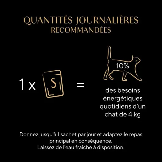 51Tp2wb9-sL._AC_SL1000_