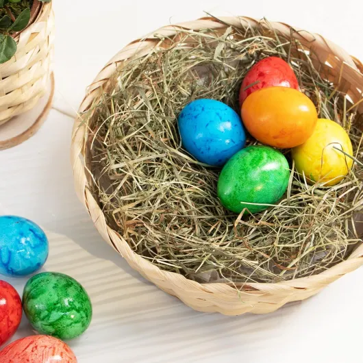 81fCLtgNg3L._AC_SL1500_