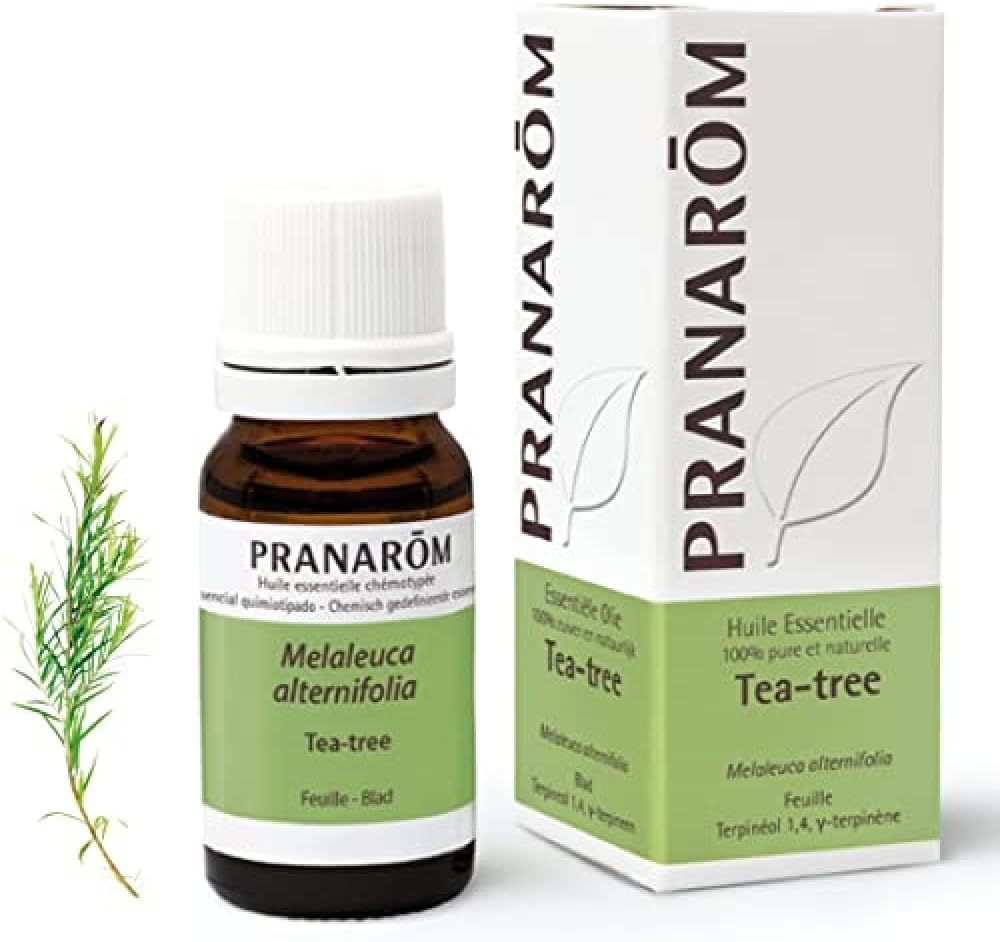 PRANARÔM - Tea Tree - Huile Essentielle Chémotypée - Défenses Naturelles - 100% Pure Et Naturelle - HECT - 10 ml 10 ml (Lot de 1)
