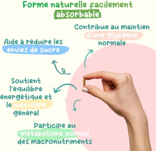 61zp XeLJGL._AC_SL1500_