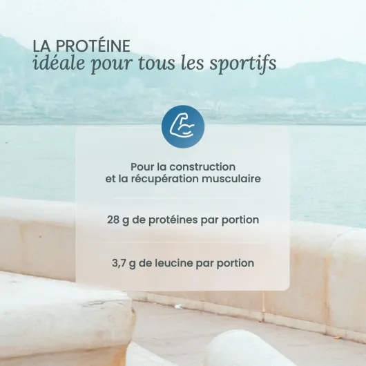 61 wLcofo1L._AC_SL1080_