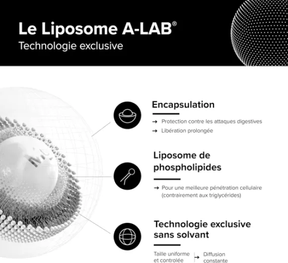 81AmDtjp6zL._AC_SL1500_