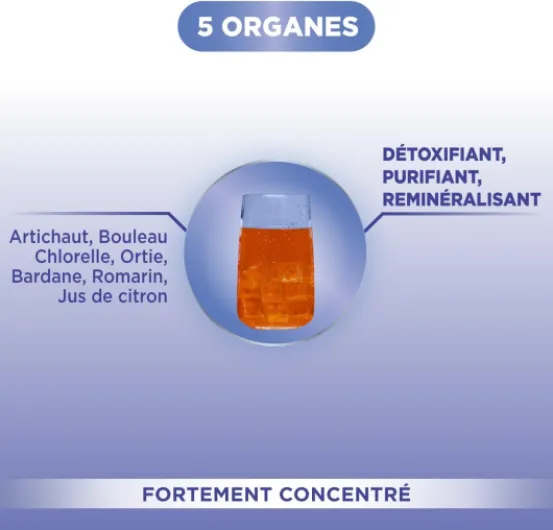 51 svcWBmtL._AC_SL1200_