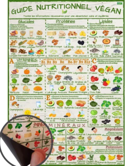 Guide Nutritionnel Végan - Vitamines et Minéraux - Tableau Magnétique A4, Élégant, Coloré et Résistant à l'Eau - Pour une Alimentation Saine et Équilibrée - Idéal pour la Cuisine et le Réfrigérateur