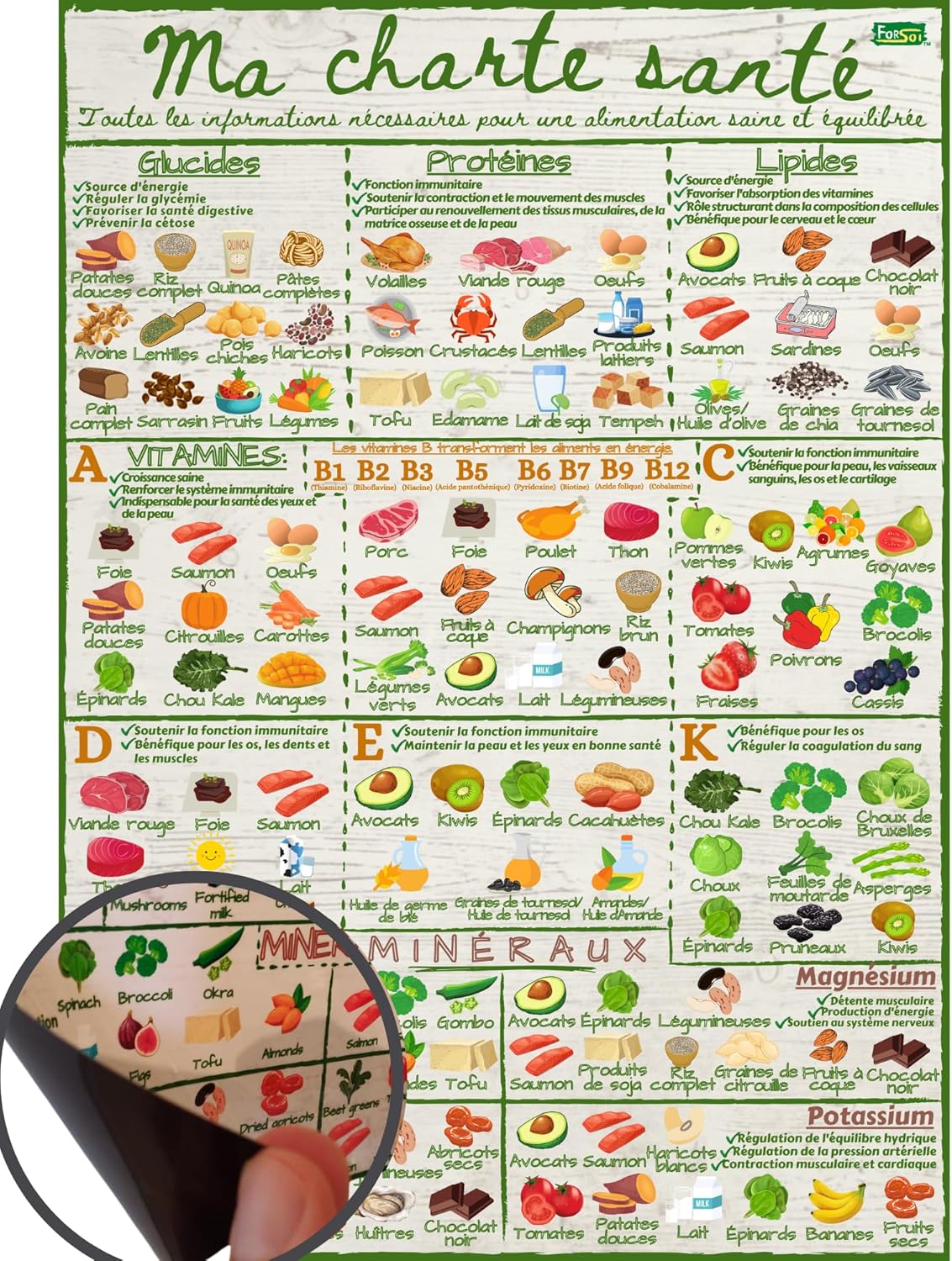 Guide Nutritionnel Vitamines et Minéraux - Tableau Magnétique A4, Élégant, Coloré et Résistant à l'Eau - Pour une Alimentation Saine et Équilibrée - Idéal pour la Cuisine et le Réfrigérateur