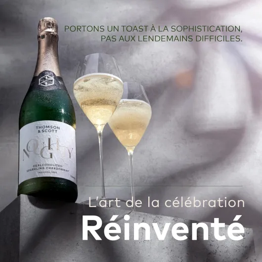 81oOMLPBQ3L._AC_SL1500_