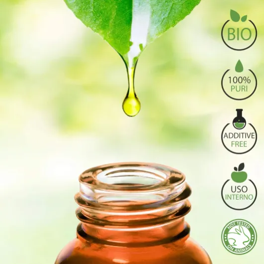 81Z YGEaAGL._AC_SL1500_