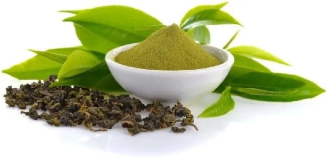 Artichaut feuille POUDRE Cynara scolymus