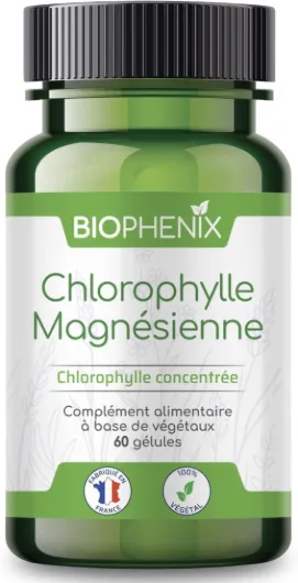 Chlorophylle Magnésienne 60 Gélules - Complément Alimentaire 100% Naturel à Base de Végétaux - Detox - Protection des Fonctions Digestives, Hépatiques et Rénales