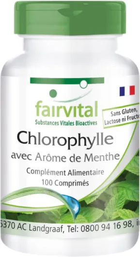 Chlorophylle avec saveur de menthe - gros paquet pour 100 jours - VEGAN - 100 comprimés à croquer