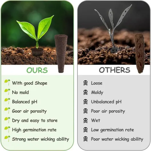 612 loxdMIL._AC_SL1100_